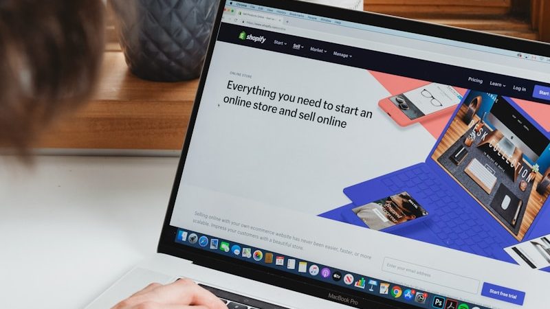 ecommerce : faut-il investir dans le seo ou tout miser sur le trafic payant