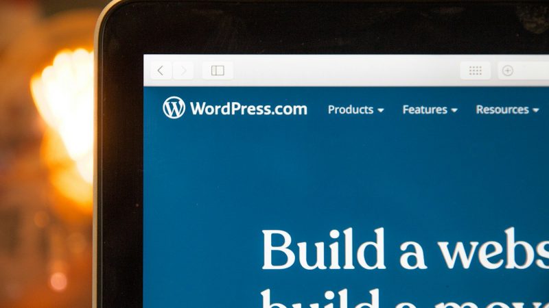 wordpress est-il un bon cms pour le seo